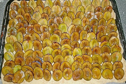Pflaumenkuchen mit Streuseln 29