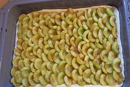 Pflaumenkuchen mit Streuseln 33