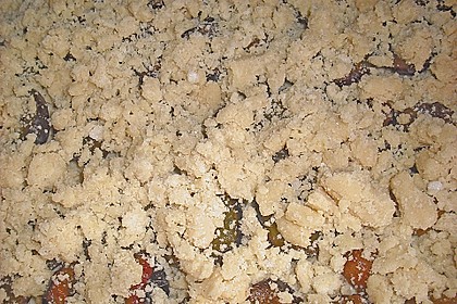 Pflaumenkuchen mit Streuseln 74