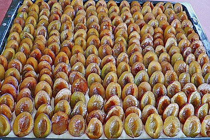 Pflaumenkuchen mit Streuseln 49