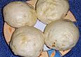 Dampfnudel mit Weincreme