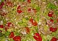 R&ouml;mersalat mit Tomaten und Schalotten Vinaigrette