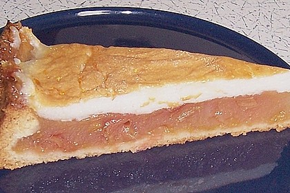 Rhabarberkuchen, sehr fein 37