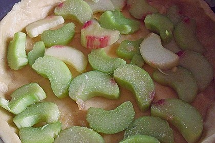 Rhabarberkuchen, sehr fein 87