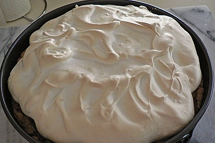 Rhabarberkuchen, sehr fein 81