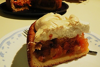 Rhabarberkuchen, sehr fein 79