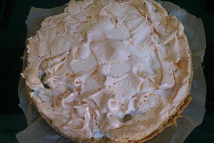 Rhabarberkuchen, sehr fein 27
