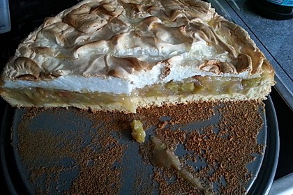 Rhabarberkuchen, sehr fein 14