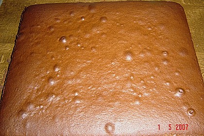 Feine Schokoladentorte 4