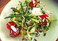 Zucchinicarpaccio mit Spargel und Tomaten