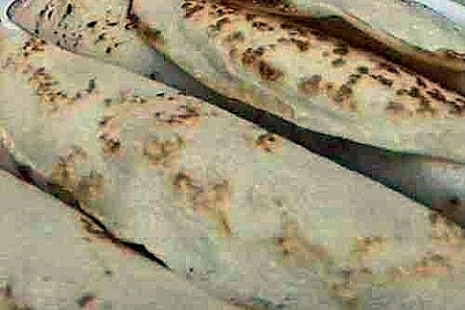 Palatschinken 60