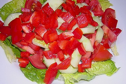 Griechischer Hirtensalat 18