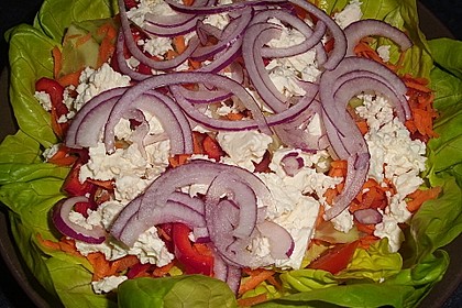 Griechischer Hirtensalat 6