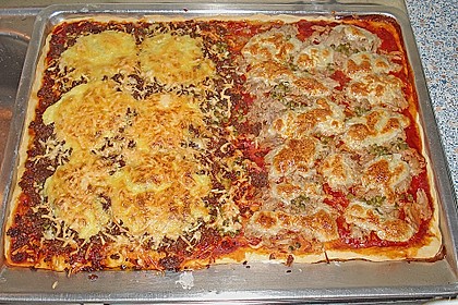 Bester Pizzateig 20