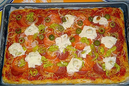 Bester Pizzateig 1