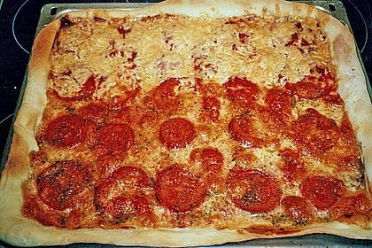 Bester Pizzateig 12