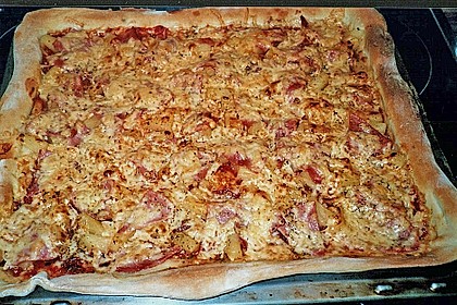 Bester Pizzateig 26