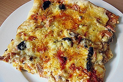 Bester Pizzateig 21