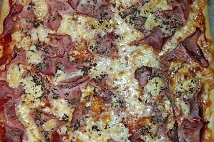 Bester Pizzateig 4