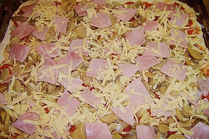 Bester Pizzateig 19