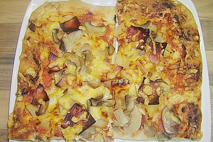 Bester Pizzateig 18