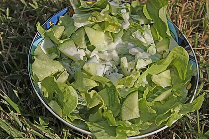 Salatdressing 6