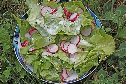 Salatdressing 8