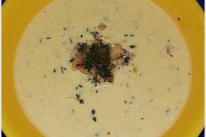 Champagner - Senf - Suppe 15