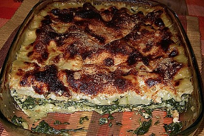 Spinat - Lachs - Lasagne 1