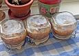 Apfel - Kiwi - Marmelade