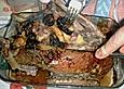 Ente mit &Auml;pfeln, Backpflaumen und Speck