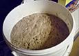 Frischer Sauerteig