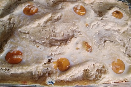Gebackene Senfeier 11