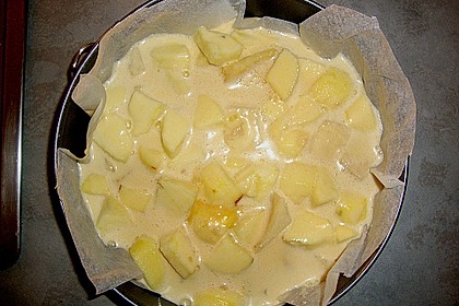 Birnen - Apfelkuchen 6