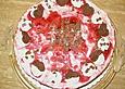 Rote Gr&uuml;tze - Schmandcreme Torte
