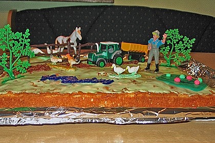 Schneller Zitronenkuchen auf dem Blech 37