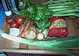 Minestrone