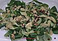 Feldsalat mit Kartoffeldressing