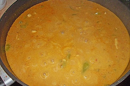 Indisches Curry 15