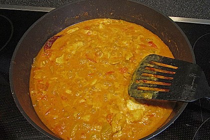 Indisches Curry 14