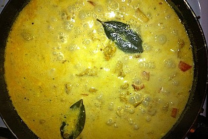 Indisches Curry 16