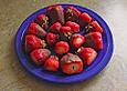 Schoko - Erdbeeren
