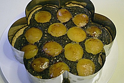 Mohnkuchen f&uuml;r eine Springform
