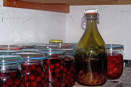 Zwetschgenlikör 24