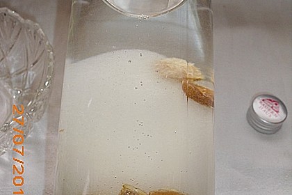 Zwetschgenlikör 48