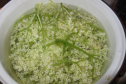 Holunderbl&uuml;ten Sekt 1