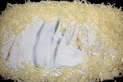 Superschnelle Spinat - Hack Lasagne 7
