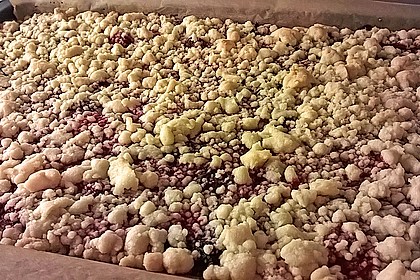Veganer Streuselkuchen 4