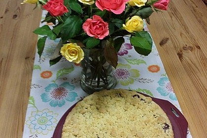 Veganer Streuselkuchen 6