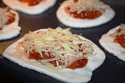 Pizzateig 8
